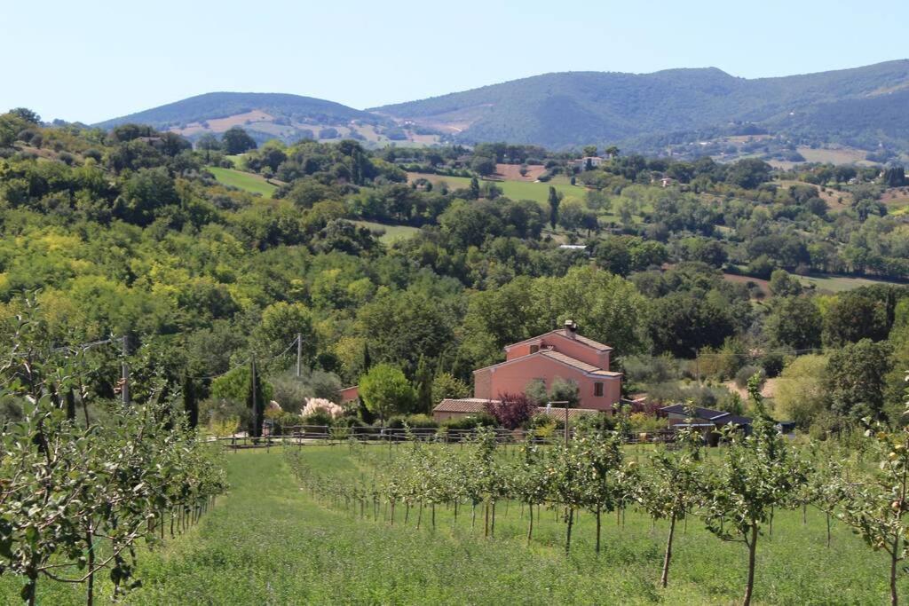Casa Kikenda, Viaggio Nella Natura Treia Ngoại thất bức ảnh