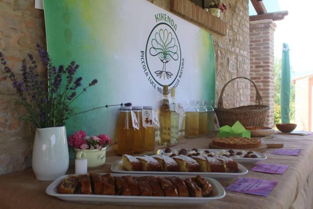 Casa Kikenda, Viaggio Nella Natura Treia Ngoại thất bức ảnh