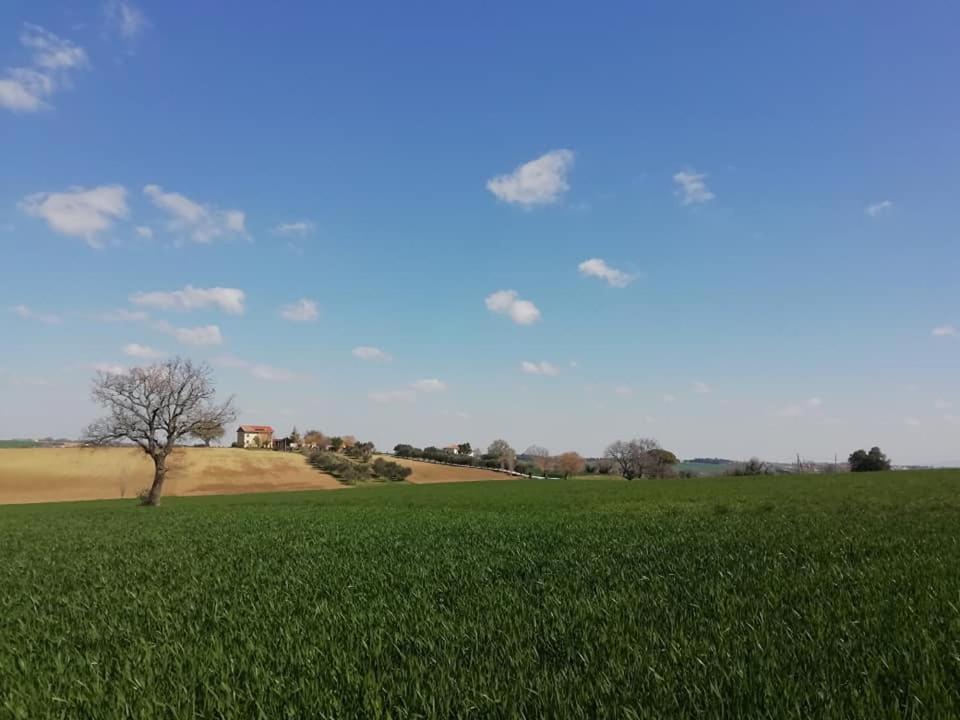 Casa Kikenda, Viaggio Nella Natura Treia Ngoại thất bức ảnh